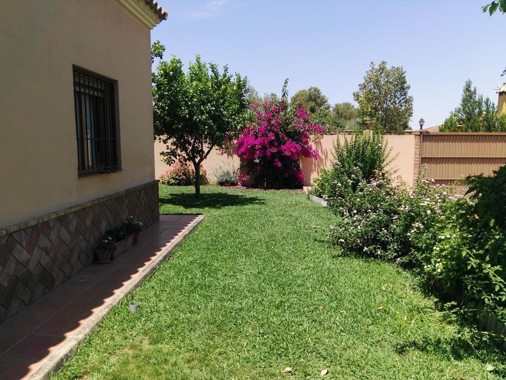Casa Rural Oregano Carmona  Bagian luar foto